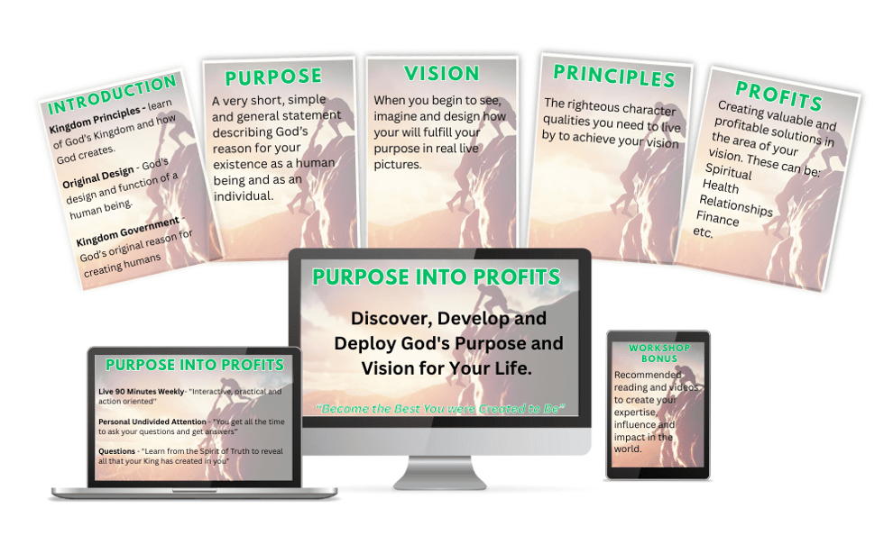 Purpose into Profits image-1